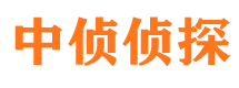 炎陵市调查公司